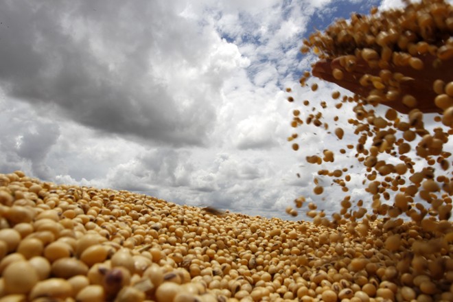 Federarroz alerta para comércio de agroquímico falsificado nas lavouras Federarroz alerta para comércio de agroquímico falsificado nas lavouras