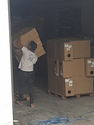 Imagens de Trabalho Realizado - Transportes Maturana