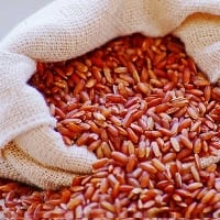 Como utilizar o plantio direto para controle de arroz-vermelho
