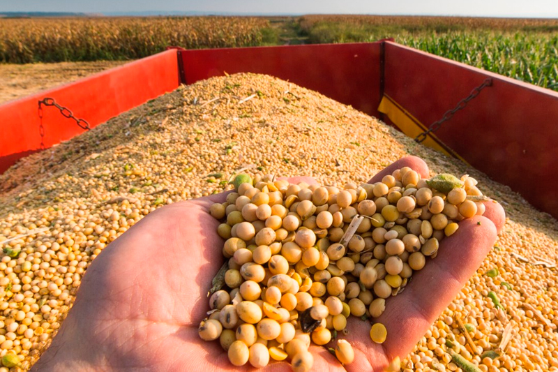 Brasil deve exportar maior volume de soja da história em 2023