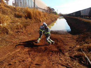 Imagem de Trabalhos Realziados