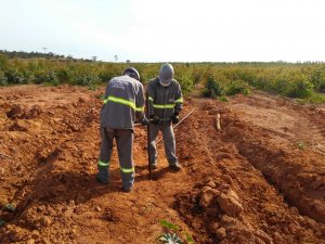 Imagem de Trabalhos Realziados