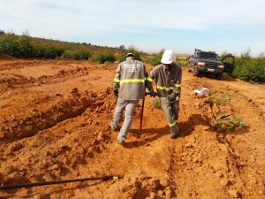 Imagem de Trabalhos Realziados