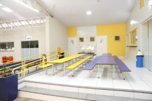 Imagem da galeria educação infantil