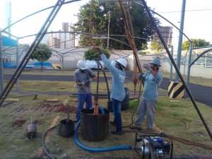 Imagem de Trabalhos Realziados