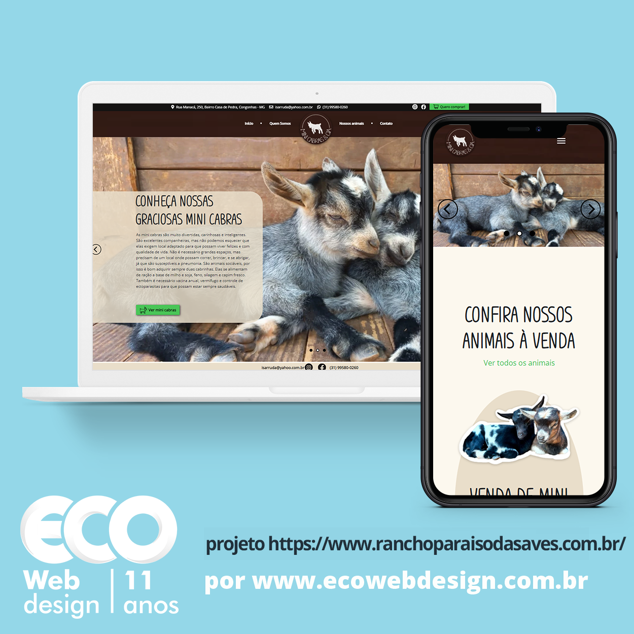 Imagem de    • Site institucional para empresa especializada em mini cabritos e aves ornamentais. - Mini Cabras & Cia